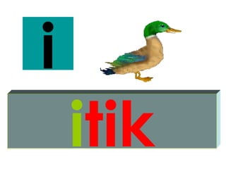 i
    itik
 