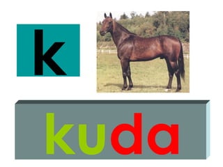 k
kuda
 