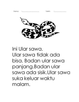 Bacaan tahun 1 3
