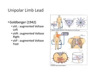 Unipolar Limb Lead
•Goldberger (1942)
• aVL : augmented Voltase
Left
• aVR : augmented Voltase
Right
• aVF : augmented Voltase
Foot
 
