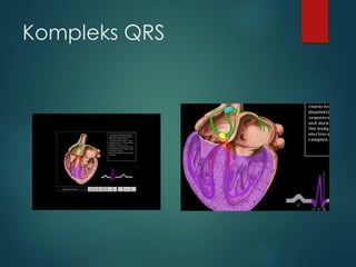 Kompleks QRS
 