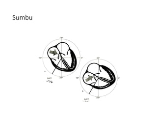 Sumbu
 