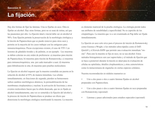 Hay dos formas de fijar las láminas. Una es fijarlas en seco. Otra es
fijarlas en alcohol. Hay otras formas, pero no se usan de rutina, así que
las pasaremos por alto. La fijación ideal e inicial debe ser en alcohol al
96%. Esta fijación permite la preservación de la morfología citológica y
la tinción de Papanicolaou que se puede remover para otros usos y
permite en la mayoría de los casos trabajar con los antígenos para
inmunocitoquímica. Pocas excepciones existen, el caso de TTF-1 en
lesiones de glándula tiroides y de pulmón, es un ejemplo. Las muestras
se deben colectar en este orden de preferencia: a) muestras para tinción
de Papanicolaou; b) muestras para tinción de Romanowsky; c) muestras
para inmunocitoquímica, una por cada marcador a usar; d) muestras
para hibridización in situ; d) muestras para pruebas moleculares.
La fijación en alcohol requiere que la muestra extendida sea puesta en la
solución de alcohol al 95% de manera inmediata. Las células
inmediatamente, en fracciones de segundo, pierden su homeostasis
sufren cambios morfológicos drásticos, la permeabilización de las
membranas citoplasmática y nuclear, la activación de lisozimas y otros
eventos moleculares hacen que la célula desecada, que no es fijada en
alcohol inmediatamente, una vez es sometida a la fijación del alcohol y
la proceso de tinción de Papanicolaou se produce un efecto que
distorsiona la morfología citológica inutilizando la muestra. La muestra
es elemento matricial de la prueba citológica. La citología pierde todos
sus atributos de sensibilidad y especificidad. No es capricho de los
citopatólogos. La muestra que va a ser examinada en Pap debe ser fijada
inmediatamente.
La fijación en seco solo sirve para el proceso de tinción de Romanowsky
como Giemsa o Wright, o los métodos ultra-rápidos como el Diff-
Quick® y el Kwick-Diff® que permite una evaluación inmediata “on-
site”. Para esto la muestra se fija en seco, no se usa alcohol. Estos
métodos histoquímicos son casi supravitales y el método de fijación que
se hace a posteriori durante la tinción es ideal para la evaluación de
células no epiteliales, detalles citoplasmáticos y otras características
como la metacromasia de organelas en ciertas especies celulares.
Nuestra recomendación en nódulos mamarios es:
• Uno a dos pases o dos a cuatro láminas fijadas en alcohol
preparadas con Papanicolaou.
• Uno a dos pases o dos a cuatro láminas fijadas en seco preparadas
con Romanowsky (opcional)
• Láminas y pases adicionales para estudios especiales (opcional)
Sección 9
La ﬁjación
19
 