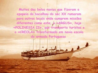 Muitos dos belos navios que fizeram a epopeia do bacalhau do sec XX rumaram para outros locais onde cumprem missões diferentes como este, o «ARGUS», hoje «POLINESIA II», que transporta turistas e o «CREOLA» transformado em navio escola da armada Portuguesa  
