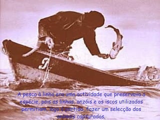 A pesca à linha era uma actividade que preservava a espécie, pois as linhas, anzóis e os iscos utilizados permitiam, logo á partida, fazer um selecção dos animais capturados. 
