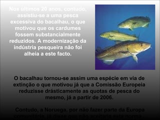 Nos últimos 20 anos, contudo,
assistiu-se a uma pesca
excessiva do bacalhau, o que
motivou que os cardumes
fossem substancialmente
reduzidos. A modernização da
indústria pesqueira não foi
alheia a este facto.
O bacalhau tornou-se assim uma espécie em via de
extinção o que motivou já que a Comissão Europeia
reduzisse drásticamente as quotas de pesca do
mesmo, já a partir de 2006.
Contudo, a Noruega, por não fazer parte da Europa
comunitária, já disse que não aceitaria esta norma...
 