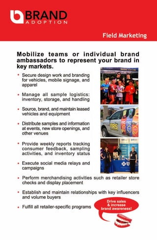 Ba Capabilities Deck 2013