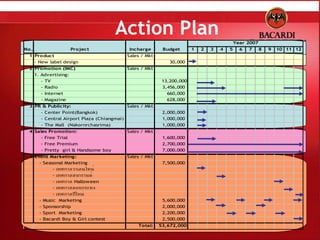 Action Plan 