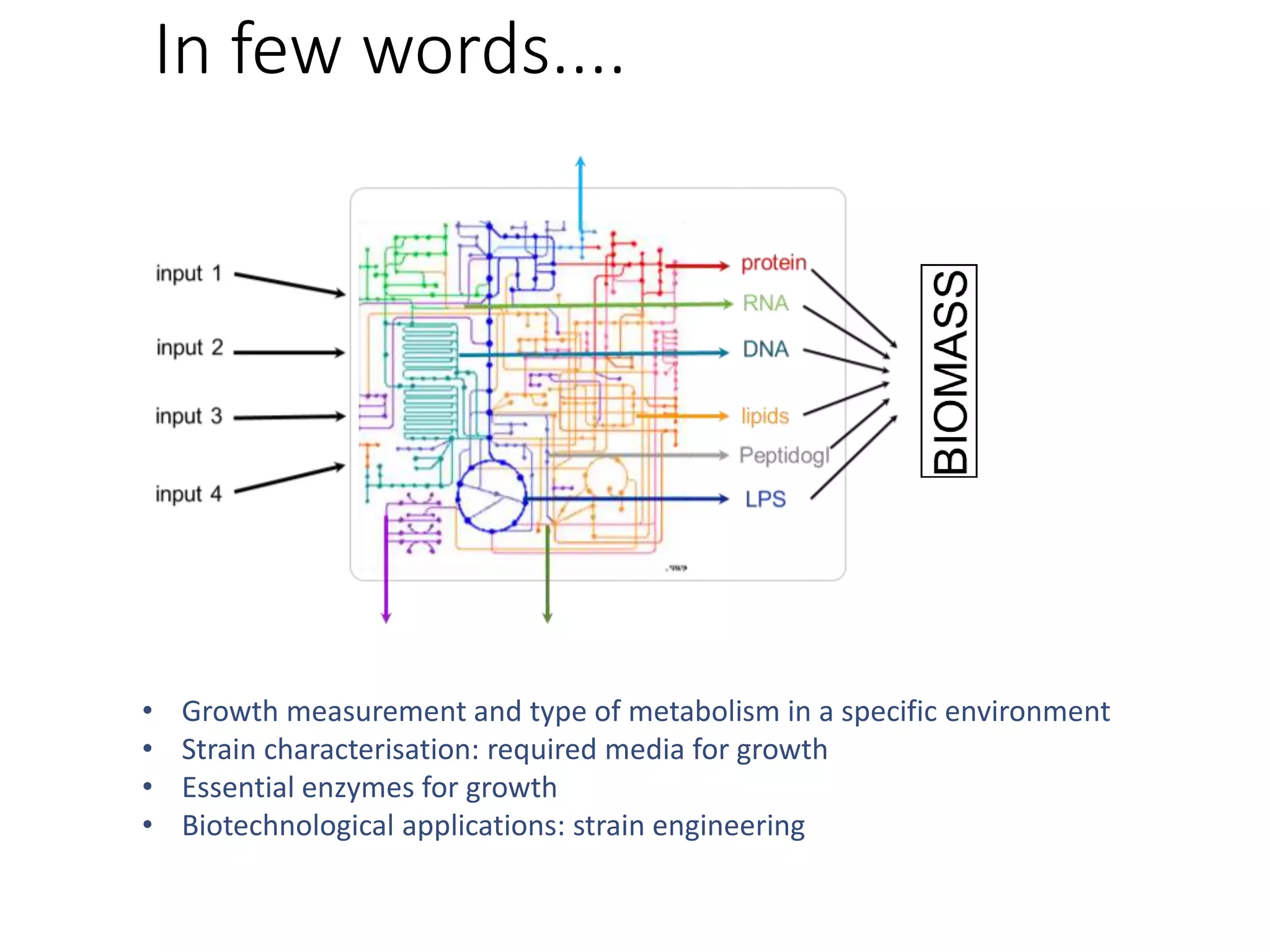 In few words....
• Growth measurement and type of metabolism in a specific environment
• Strain characterisation: required media for growth
• Essential enzymes for growth
• Biotechnological applications: strain engineering
 