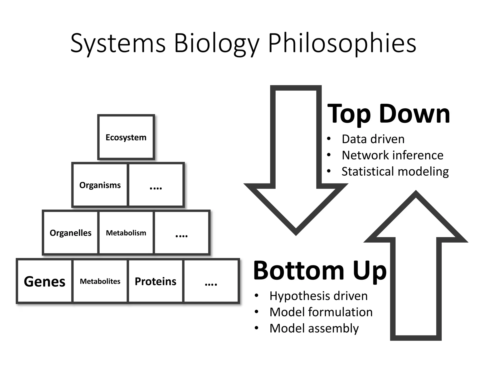 Systems Biology Philosophies
Top Down
• Data driven
• Network inference
• Statistical modeling
Bottom Up
• Hypothesis driven
• Model formulation
• Model assembly
Genes Metabolites Proteins ….
Organelles Metabolism .…
Organisms .…
Ecosystem
 