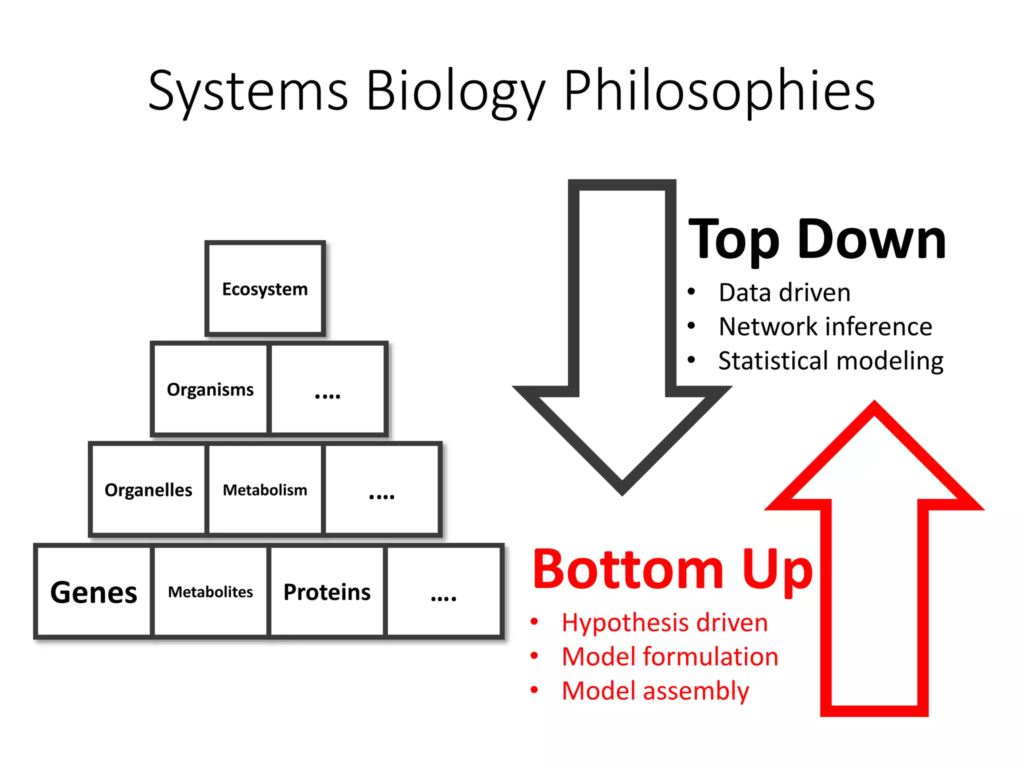 Systems Biology Philosophies
Top Down
• Data driven
• Network inference
• Statistical modeling
Bottom Up
• Hypothesis driven
• Model formulation
• Model assembly
Genes Metabolites Proteins ….
Organelles Metabolism .…
Organisms .…
Ecosystem
 
