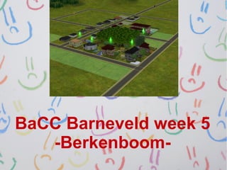 BaCC Barneveld week 5
   -Berkenboom-
 