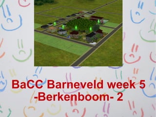 BaCC Barneveld week 5
   -Berkenboom- 2
 