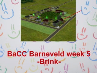 BaCC Barneveld week 5
       -Brink-
 