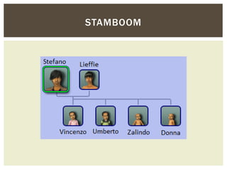 STAMBOOM
 
