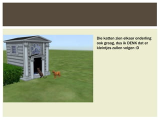 Die katten zien elkaar onderling
ook graag, dus ik DENK dat er
kleintjes zullen volgen :D
 