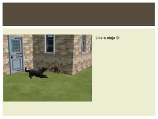 Like a ninja 
 