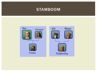 STAMBOOM
 