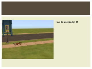 Haal de stok jongen :D
 