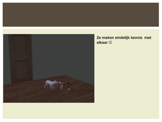 Ze maken eindelijk kennis met
elkaar 
 