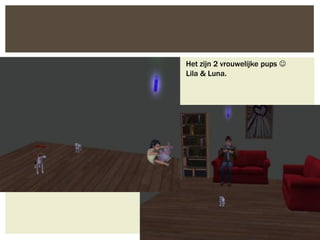 Het zijn 2 vrouwelijke pups 
Lila & Luna.
 