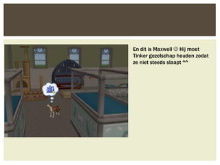 En dit is Maxwell  Hij moet
Tinker gezelschap houden zodat
ze niet steeds slaapt ^^
 