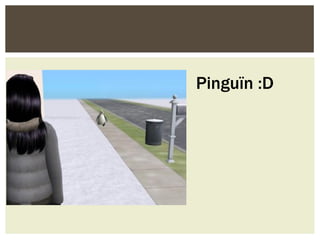 Pinguïn :D
 