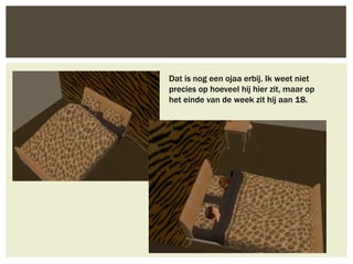 Dat is nog een ojaa erbij. Ik weet niet
precies op hoeveel hij hier zit, maar op
het einde van de week zit hij aan 18.
 