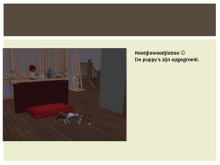 Koedjiewoedjiedoe 
De puppy’s zijn opgegroeid.
 