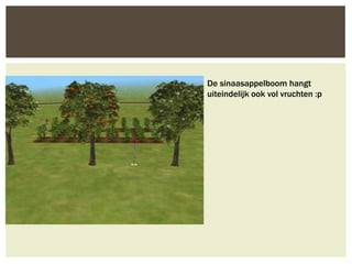 De sinaasappelboom hangt
uiteindelijk ook vol vruchten :p
 