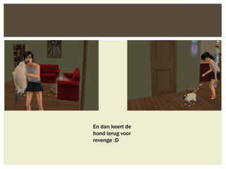 En dan keert de
hond terug voor
revenge :D
 