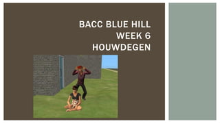 BACC BLUE HILL
WEEK 6
HOUWDEGEN

 