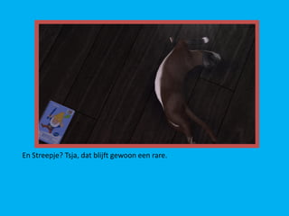 En Streepje? Tsja, dat blijft gewoon een rare.
 