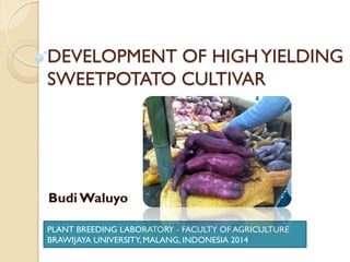 DEVELOPMENT OF HIGHYIELDING
SWEETPOTATO CULTIVAR
Budi Waluyo
PLANT BREEDING LABORATORY - FACULTY OF AGRICULTURE
BRAWIJAYA UNIVERSITY, MALANG, INDONESIA 2014
 