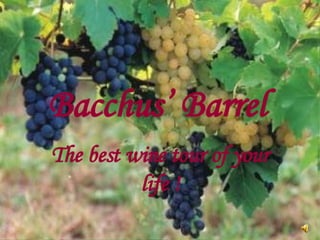 Bacchus Barrel