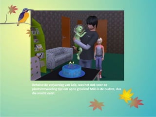 Behalve de verjaardag van Loïc, was het ook voor de
plantsimtweeling tijd om op te groeien! Milo is de oudste, dus
die mocht eerst.
 