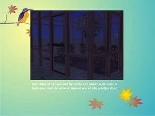 Geen idee of het ene met het andere te maken had, maar ik
keek even naar de serre en opeens waren alle plantjes dood!
 