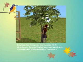 Dus ging ze haar beklag maar weer even doen bij de
citroenboom… Oei, misschien had ik meerdere van die anti-
plantsimdrankjes moeten kopen bij de zigeunerin :p
 