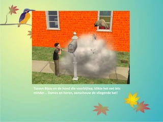 Tussen Bijou en de hond die voorbijliep, klikte het net iets
minder… Dames en heren, aanschouw de vliegende kat!
 