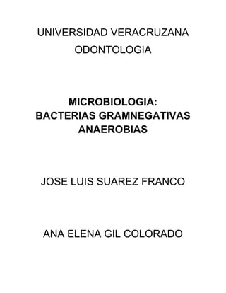 UNIVERSIDAD VERACRUZANA<br />ODONTOLOGIA<br />MICROBIOLOGIA:BACTERIAS GRAMNEGATIVAS ANAEROBIAS<br />JOSE LUIS SUAREZ FRANCO<br />ANA ELENA GIL COLORADO<br />BACTERIAS GRAMNEGATIVAS ANAEROBIAS<br />La diversidad de las bacterias gramnegativas anaerobias supera a las aerobias de 10 a 100 veces son escasas aquellas que resultan patógenas. Entre los patógenos la Bacteroides fragilis es la más importante <br />FISIOLOGIA Y ESTRUCTURA<br />DEBIL TINCION ANTE EL COLORANTE GRAM <br />Aunque algunas especies del genero bacteroides crecen con rapidez en condiciones in vitro los demás  BG-ANE  son exigentes desde el punto de vista nutricional y sus cultivos se deben incubar por lo menos 3 días para detectar el crecimiento de bacterias <br />Salvo algunos microorganismos que se encuentran como contaminantes entre ellos el Veillonella; los organismos rara vez se  aíslan de las muestras de laboratorio<br />ESTIMULACIÓN DE SU DESARROLLO POR BILIS AL 20% <br />El crecimiento de bacteroides fragilis en agarbilis-esculina; son resistentes a la gentamicina y capases de hidrolizar la esculina produciendo un precipitado negro.<br />Los organismos sensibles a la billis se dividen en los grupos Porphyromonas y Prevotella. <br />LIPOPOSACARIDO (LPS) EN LA SUPERFICIE DE LA PARED CELULAR <br />En contra posición  a los LPS de los Fusobacteríon y BG+AE, el glucolipido de Bacteroides  ejerce una actividad escasa o nula de endotoxina. Esto es porque el componente de LPS carece de grupos fosfato en los residuos de glucosamina y el numero de ácidos grasos unidos a los amino azucares es reducido; ambos factores se correlacionas con la perdida de actividad pirógena.<br />Suelen ser pleomorfos, en ocasiones muy pequeños como especies de Prevotella o alargados por ejemplo Fusobacterium.<br />PATOGENIA E INMUNIDAD<br />Son relativamente pocos los organismos patógenos; la mayoría de la virulencia se atribuye a la adhesión de los microorganismos a los tejidos del organismo anfitrión así como la protección frente a la respuesta inmunitaria y la destrucción tisular <br />ADHESINAS <br />B.Fragilis y Prevoteila melaninogenica son capaces de adherirse a la superficie peritoneal de forma eficaz debido a que su superficie está recubierta de una capa de polisacáridos <br />Algunas especies del genero bacteroides y Porphyromonas gingivalis se pueden adherir a las células epiteliales y moléculas extra celulares (como fibrinógeno, fibronectina y lactofibrina) por medio de fimbrias. Las fimbrias de P. gingivalis también desempeñan la función de inducir la expresión de citocinas proinflamatorias.<br />PROTECCION FRENTE A LA FAGOSITOSIS <br />El polisacárido capsular de estos microorganismos tiene actividad antifagocitica ; además los ácidos grasos de cadena corta que se genera durante el metabolismo anaerobio inhiben la fagocitosis y a la destrucción  intracelular <br />Algunas especies de Porphyromonas y Prevotella sintetizan proteasas que degradan las inmunoglobulinas <br />PROTECCION FRENTE A LA TOXICIDAD DEL O2 <br />Muchas de las cepas patógenas poseen las enzimas catalasa y superóxido dismutasa, las cuales inactivan el peróxido de hidrógeno y los radicales libres de superóxido (O2) respectivamente. <br />DESTRUCCION TISULAR <br />Son producidas por las siguientes enzimas: Fosfolipasa C, Hemolisinas, Proteasas, Colagenasa, Fibrinolisina, Neuraminidasa, Heparinasa, Condrotín sulfatasa, Glucuronidasas, W-acetilglucosaminidasa, Ácidos grasos volátiles. <br />PRODUCCION DE TOXINAS <br />Las cepas de B. fragilis enterotoxigeno que originan una enfermedad diarreica sintetizan una toxina metaloproteasa termolabil de zinc; esta toxina induce cambios morfológicos en el epitelio intestinal a través de la actina-F, lo que estimula la secreción de cloruro y la pérdida de líquidos. <br />EPIDEMIOLOGIA<br />Los gramnegativos colonizan el organismo humano en un número muy elevado; pero sus funciones generalmente se encuentran la estabilización de la ñora bacteriana residente, la cual impide la colonización por parte de microorganismos patógenos exógenos y favorecen la digestión de la comida. El problema radica en cuanto los organismos pasan a un medio originalmente estéril.<br />INFECCION BACTERIA CABEZA Y CUELLO Bacteroides ureolyticus, Fusobacteriun nucleatum, Fusobacteriun necrophorum,  Porphyromonas asaccharolytica, Porphyromonas gingivalis, Prevoteila melaninogenica, Veillonela parvula INTRAABDOMINAL Bacteroides fragilis, Bacteroides thetaiomicrom, P. melaninogenica GINECOLOGICA Bacteroides fragilis, Prevoteila bivia, Prevoteila disiens PIEL Y TEJIDOS BLANDOS Bacteroides fragilis BACTERIEMIA Bacteroides fragilis, Bacteroides thetaiomicrom, Fusobactium spp. <br />ENFERMEDADES CLINICAS<br />INFECCIONES DEL TRACTO RESPIRATORIO <br />Casi toda la mitad de las infecciones crónicas de los senos y de los oídos y prácticamente todas las enfermedades periodo tales presentan una mezcla de anaerobios gramnegativos en los que se encuentran Prevotella, Porphyrimonas, Fusobacterium y Bacteroides fragilis. <br />ABCESO CEREBRAL <br />Asociados principalmente a antecedentes de sinusitis o de otitis crónica; confirmada por medio de indicios radiológicos; en estos casos suelen estar presentes múltiples abcesos. Los anaerobios más frecuentes pertenecen a los géneros Prevotella, Porphyromonas y Fusobacterium. <br />INFECCIONES INTRAABDOMINALES <br />Son pocas las especies que resultan patógenas a nivel intraabdominal destacando B. fragilis, B. thetaiotaomicrom y P. melaninogenica<br />INFECCIONES GINECOLOGICAS <br />Distintas combinaciones de anaerobios son responsables de producir infecciones en los genitales femeninos por ej. Enfermedad inflamatoria pélvica absesos, endometritis, infección de las heridas quirúrgicas; entre las bacterias que más destacan son Prevotella bivia y Prevotella disiens; aunque B. fragilis está asociado a la presencia de absesos<br />INFECCIONES CUTANEAS Y DE PARTES BLANDAS <br />Aunque las gramnegativas anaerobias no son comunes en infecciones de la piel pueden introducirse a través de mordeduras o por la contaminación de una superficie con traumatismo; a veces pueden colonizar sin producir enfermedad, pero en otros casos pueden causar mionecrosis poniendo en peligro la vida del paciente <br />BACTERIEMIA <br />Los casos de infecciones por bateriemia han disminuido de un 20% a 1-3% y aunque no se conocen las causas reales atribuyen esta reducción de casos  en mayor parte a los antibióticos de amplio espectro; destacan B. fragilis las cuales se curan principalmente con eritromicina o doxiciclina oral <br />GASTROENTERITIS <br />Las cepas de B. fragilis productoras de enterotoxinas pueden causar una diarrea acuosa de resolución espontanea; la mayor parte de las infecciones atacan a niños menores de 5 años pero también se puede presentar en adultos<br />TRATAMIENTO PREVENCION Y CONTROL<br />El tratamiento antibiótico combinado con la intervención quirúrgica es el enfoque fundamental para tratar las enfermedades anaeróbicas graves.<br />Varios gramnegativos anaerobios poseen enzimas que los hacen resistentes a antibióticos como la penicilina; resultando como mejor antibiótico el metronidazol, los cabapenemicos y los inhibidores como piperacilina-tazobactam<br />