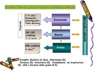 MeracdoLaboral
Posgrado
*excepto Medicina (6 años), Odontología (5),
Farmacia (5), Veterinaria (5), Fundamentos de Arquitectura
(5), ADE y Derecho doble grado (5.5)
3-4 años
Formación+
Investigación+
Tesis doctoral
Doctorado
Master
Grado
60-120
créditos
1-2 urte
240 créditos
4 años*
ESTRUCTURA DE LOS ESTUDIOS UNIVERSITARIOS
 