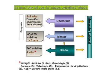 MeracdoLaboral
Posgrado
*excepto Medicina (6 años), Odontología (5),
Farmacia (5), Veterinaria (5), Fundamentos de Arquitectura
(5), ADE y Derecho doble grado (5.5)
3-4 años
Formación+
Investigación+
Tesis doctoral
Doctorado
Master
Grado
60-120
créditos
1-2 urte
240 créditos
4 años*
ESTRUCTURA DE LOS ESTUDIOS UNIVERSITARIOS
 