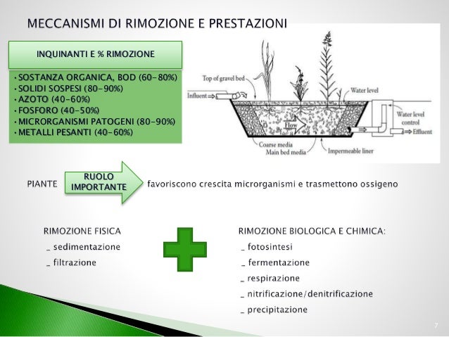 Bachelor thesis presentation slides