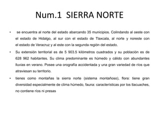 Num.1 SIERRA NORTE
• se encuentra al norte del estado abarcando 35 municipios. Colindando al oeste con
el estado de Hidalgo, al sur con el estado de Tlaxcala, al norte y noreste con
el estado de Veracruz y al este con la segunda región del estado.
• Su extensión territorial es de 5 903.5 kilómetros cuadrados y su población es de
628 962 habitantes. Su clima predominante es húmedo y cálido con abundantes
lluvias en verano. Posee una orografía accidentada y una gran variedad de ríos que
atraviesan su territorio.
• tienes como montañas la sierra norte (sistema montañoso), flora: tiene gran
diversidad especialmente de clima húmedo, fauna: características por los tlacuaches,
no contiene ríos ni presas
 