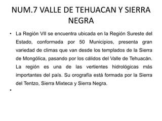 NUM.7 VALLE DE TEHUACAN Y SIERRA
NEGRA
• La Región VII se encuentra ubicada en la Región Sureste del
Estado, conformada por 50 Municipios, presenta gran
variedad de climas que van desde los templados de la Sierra
de Mongólica, pasando por los cálidos del Valle de Tehuacán.
La región es una de las vertientes hidrológicas más
importantes del país. Su orografía está formada por la Sierra
del Tentzo, Sierra Mixteca y Sierra Negra.
•
 