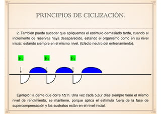 PRINCIPIOS DE CICLIZACIÓN.
2. También puede suceder que apliquemos el estímulo demasiado tarde, cuando el
incremento de reservas haya desaparecido, estando el organismo como en su nivel
inicial, estando siempre en el mismo nivel. (Efecto neutro del entrenamiento).
Ejemplo: la gente que corre 1⁄2 h. Una vez cada 5,6,7 días siempre tiene el mismo
nivel de rendimiento, se mantiene, porque aplica el estímulo fuera de la fase de
supercompensación y los sustratos están en el nivel inicial.
2. También puede suceder que apliquemos el estímulo demasiado
e, cuando el incremento de reservas haya desaparecido, estando el
anismo como en su nivel inicial, estando siempre en el mismo nivel
ecto neutro del entrenamiento.
Ejemplo: la gente que corre ½ h. Una vez cada 5,6,7 días siempre
e el mismo nivel de rendimiento, se mantiene, porque aplica el estímulo
E1 E2 E3
 