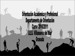 Orientación Académica y Profesional Departamento de Orientación Curso 2010/2011 I.E.S. Villanueva del Mar Granada 