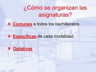 ¿Cómo se organizan las
         asignaturas?
Comunes a todos los bachilleratos.

Específicas de cada modalidad

Optativas
 