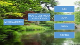 MEDIO AMBIENTE
AIRE
AGUA
SUELO
OBJETOS
TODO LO QUE RODEA
A UN SER VIVO
 
