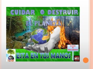 Bachillerato  medio ambiente